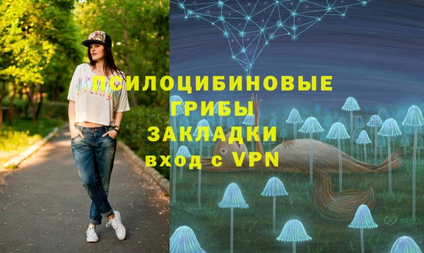 2c-b Медвежьегорск