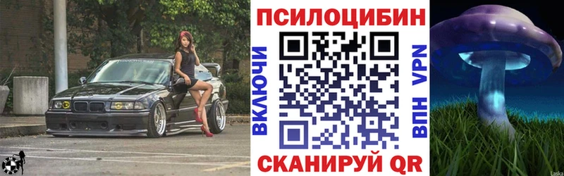 Псилоцибиновые грибы GOLDEN TEACHER  Новотроицк 